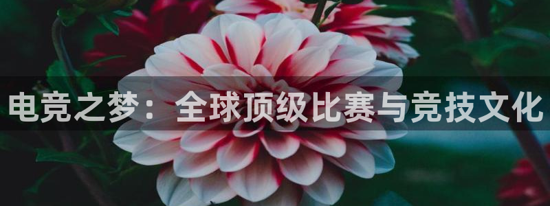 ky开元电竞